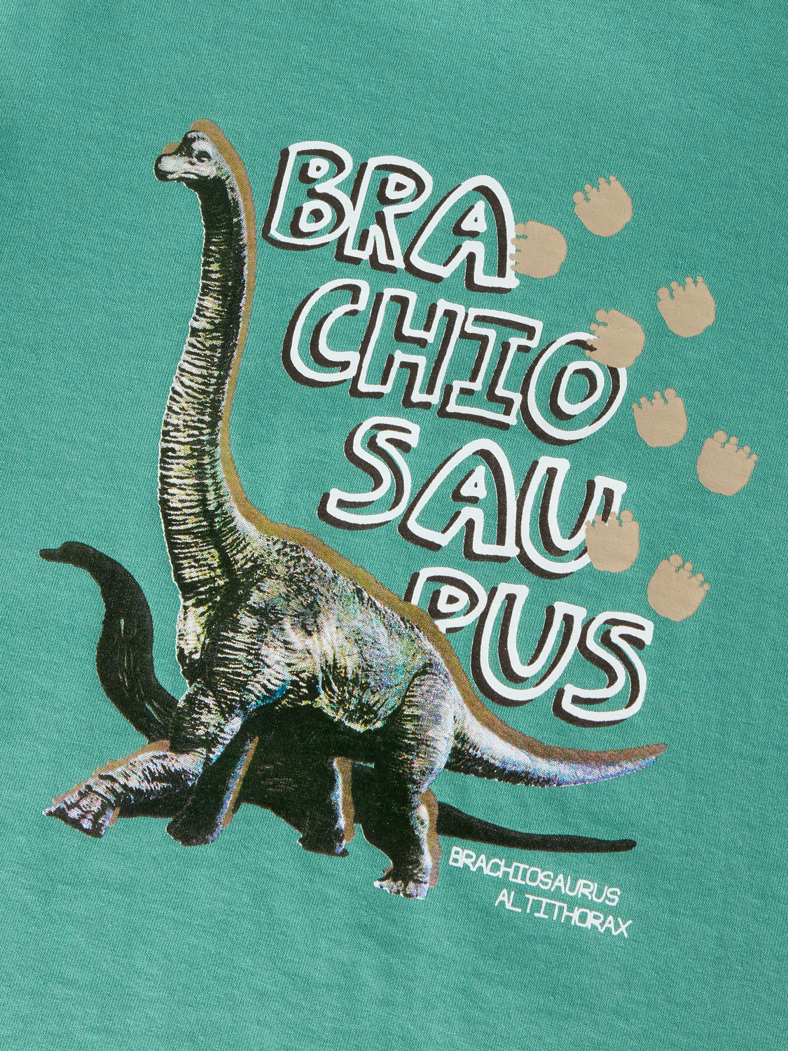 model_shot-front_full